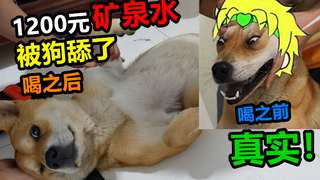 花1200网购矿泉水不料被狗舔了，喝了口果然翻车了，真实！