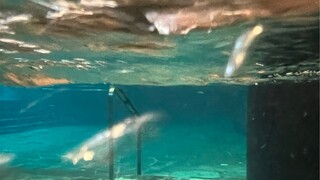 沈阳的池核洗浴中心