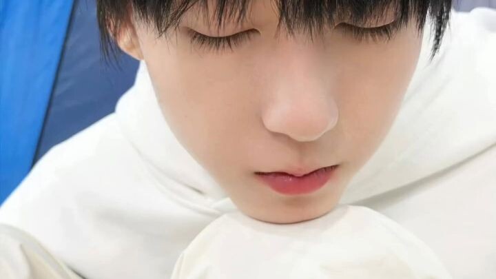 TF家族