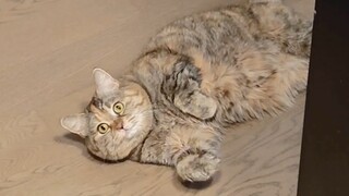 Guangdang cheers you on at the kitchen door