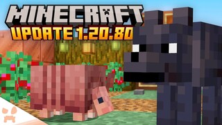 EVERYTHING in the BRAND NEW Minecraft 1.20.80 Update!