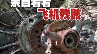 Mảnh vỡ máy bay do Google Maps phát hiện này, nhất định phải đích thân đến xem mới được!