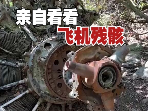 Mảnh vỡ máy bay do Google Maps phát hiện này, nhất định phải đích thân đến xem mới được!