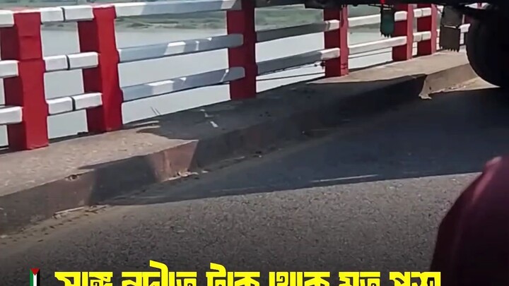 সাঙ্গু নদীতে ট্রাক থেকে মৃত পশু ফেলার অভিযোগ, পানি দূষণের শঙ্কা