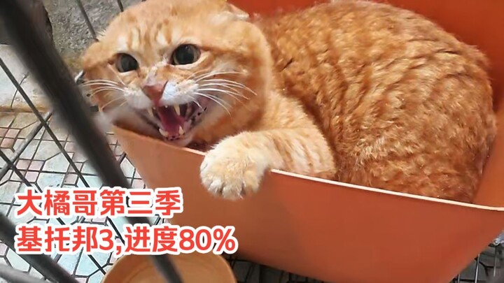 Big Orange Brother 159 – Season 3 / Kitobang 3, 80% complete. He’s taken a bath.
