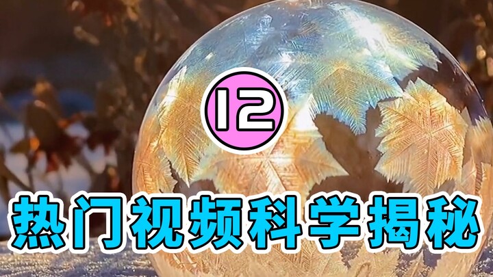 【สุ่ยสุ่ยหลาวซือ】เปิดเผยหลักวิทยาศาสตร์เบื้องหลังวิดีโอดังบนอินเทอร์เน็ต | ตอนที่ 12