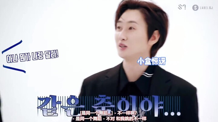 Super Junior takes a look at the differences between the Blue Leader's dance and the main vocalist's