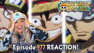 KID, LUFFY AND LAW BRING THE HEAT! 🔥To Onigashima! | One Piece Episode 977 Reaction + Review!
