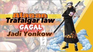 [One Piece] Trafalgar law GAGAL❌ menjadi seorang yonkow ‼️||Berikut adalah alasannya...