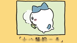 chiikawa phiên bản truyện tranh - Một ngày của Hachi như thế nào?