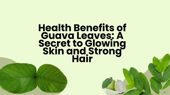 Health Benefits of Guava Leaves A Secret to Glowing Skin and Strong Hair