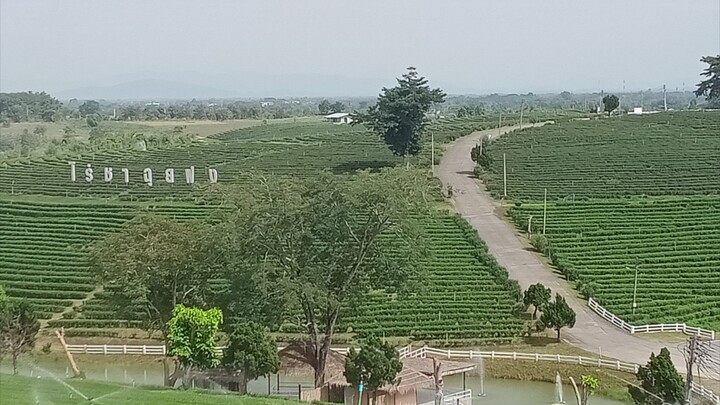 ความสุขหาได้ไม่ยาก☺️