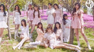[High-value and most coordinated dance] Violeta-IZ*ONE's eternal god