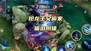 抢龙王又偷家猫泪附体阿浩韩信王者荣耀巅峰赛
