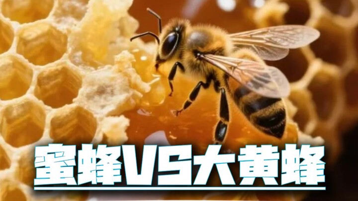 มอบหัวใจของเจ้ามา! ทาท่า เปิดไฟ!