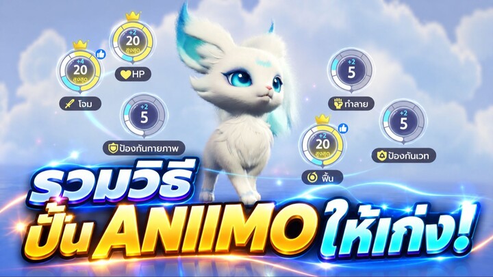 รวมวิธีปั้น ANIIMO ให้เก่ง!