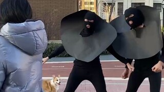 室友的另类求偶方式，这是直接返祖了？