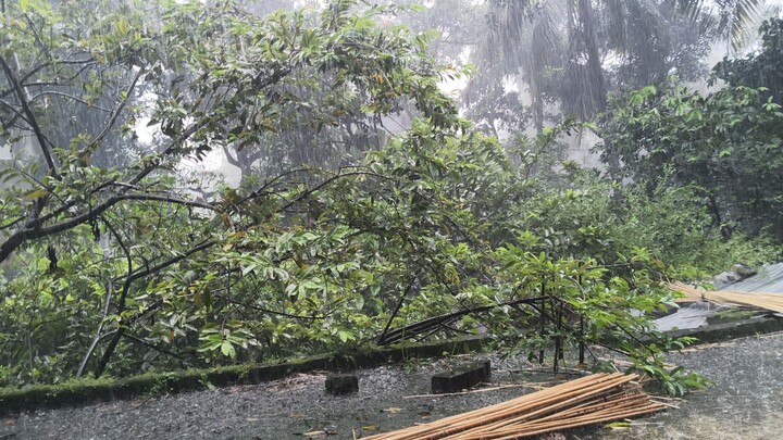 শীতের আগে হঠাৎ বৃষ্টি! মেঘলা আকাশ আর ঠান্ডা হাওয়ায় দারুণ একটা দিন 🌧️⛅। Rainy Day Vlog 🇧🇩