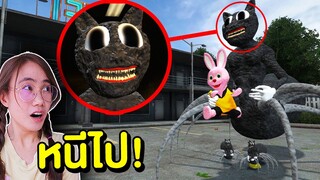 ถ้าเจอ Cartoon Cat Spider หน้าบ้าน หนีไปให้ไวที่สุด !! | Mind&Nat