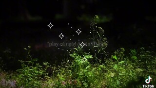 Ai thích thì yêu luôn