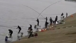 Kehidupan|Lucu|Memancing Ikan dan Memberi Makan Ikan