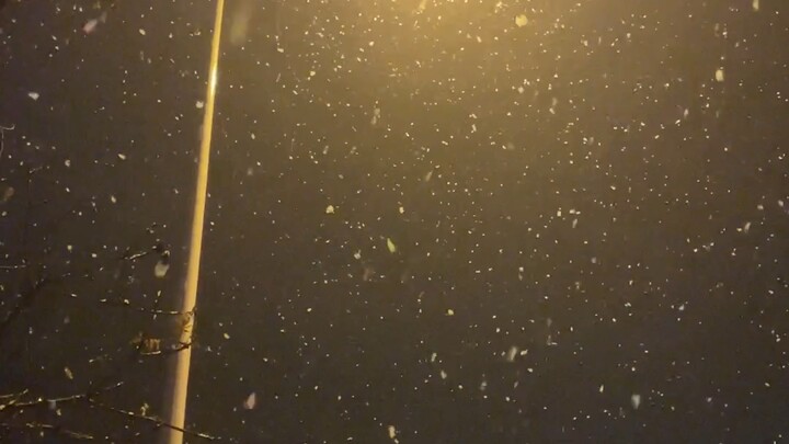 It's snowing!