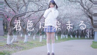 แมวเติบโตใต้ต้นไม้ดอกไม้❀ ให้ฤดูใบไม้ผลิย้อมด้วยสีของคุณ❀君色に染まる