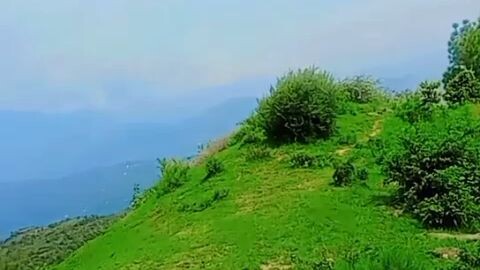 “Beautiful Natural View 🌿✨ | Peaceful Nature”