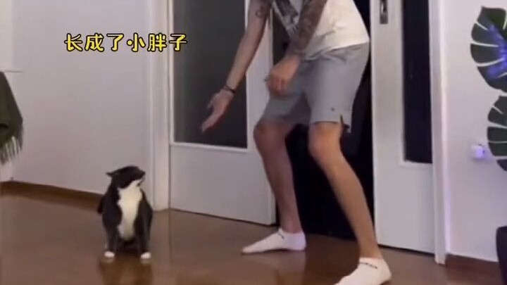 منذ الصغر وحتى الكبر، كلما مدّ صاحبها يده، كانت القطة الصغيرة تقفز بلا تردد إلى حضنه.