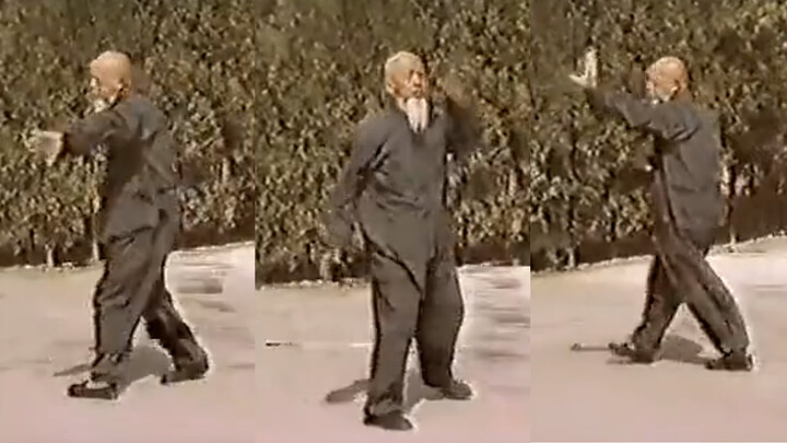 Bagua Zhang master Lee Ziming showing off his martial prowess