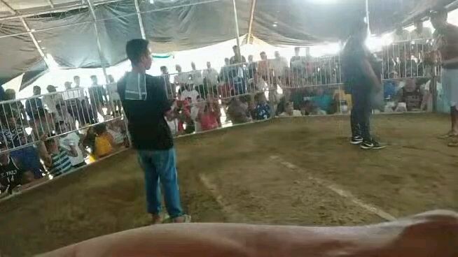 talo tayo jan malakaskalaban,,,