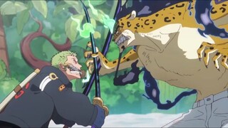 ZORO BIKIN LUCCI TURU DEK
