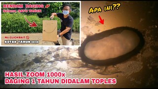 ZOOM 1000X: DAGING SATU TAHUN DIDALAM TOPLES