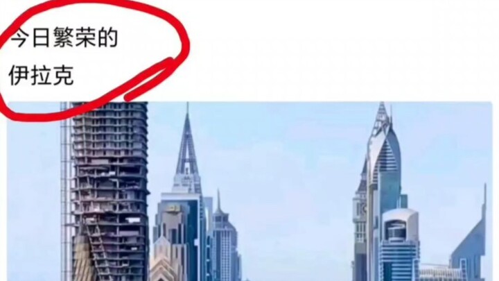 Mèo Mỹ lông ngắn biến thái lại bắt đầu bịa chuyện linh tinh rồi!