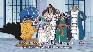 MOMEN TAHU KALAU ROBIN IKUT KRU LUFFY