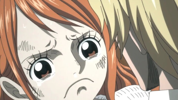 Anak Kesayangan Sejati Bajak Laut Topi Jerami