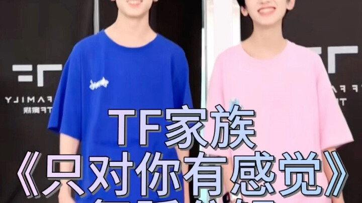 TF Family's "Only Have Feelings for You" Dance Analysis