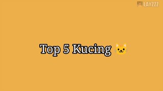 Top 5 Kucing...