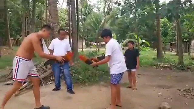 pede na kaya ari ilaban
