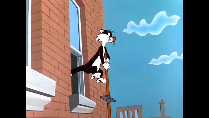 LOONEY TUNES 9° COMPILAÇÃO DE DESENHOS DUBLADOS