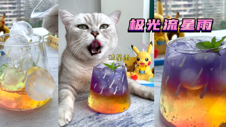 القطة: كم سيكون جميلًا إذا ظهرت الشفق القطبي وزخّة الشهب في الوقت نفسه؟ سارع بتقديم أمنيتك!