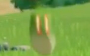 [Game] The Annoying Dendro Slime | "Genshin Impact"