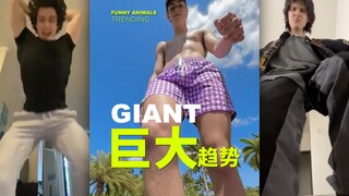 那个猫为什么会那么大