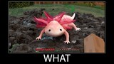 Minecraft wait what meme part 194 realistic minecraft axolotl and drowned