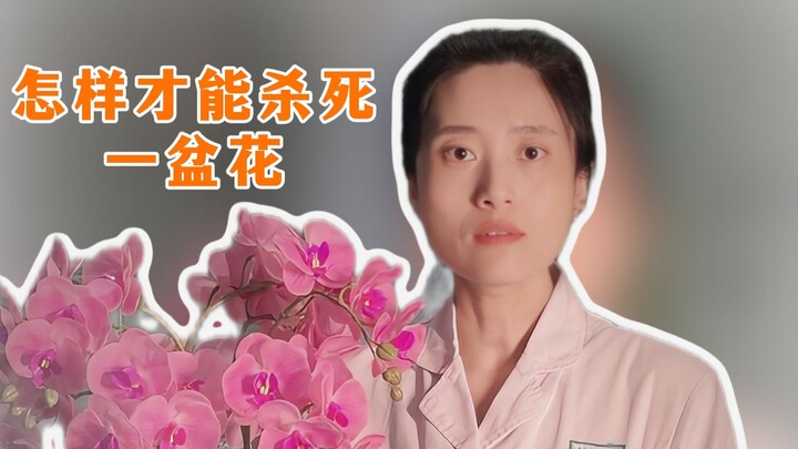 Why do I keep killing my potted plants?