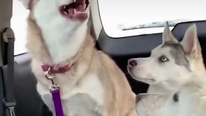 Is this pole dancing done with the pole spinning horizontally?