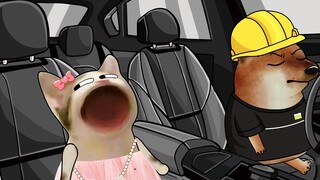 ผู้ชายเช่ารถแล้วชวนสาวมาพบเพื่อติดตามผล นี่มันน่าอึดอัดใจไหม?