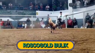 ROSCOGOLD BULIK 2HITS CHAMPION 2ND FIGHT