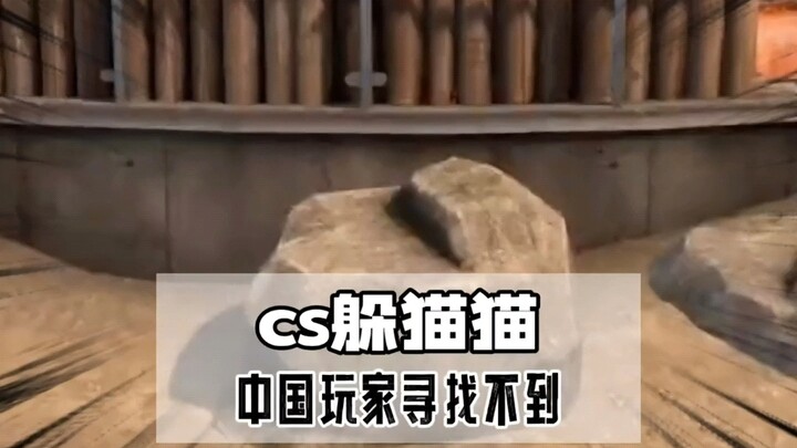 Thử thách trốn tìm cực khó: Người chơi Trung Quốc không thể tìm thấy