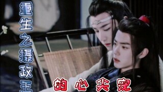 【忘羡‖双洁】重生之摄政王的心尖宠 17（上）